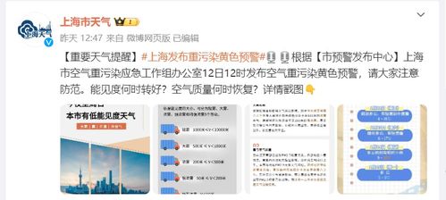 上海迪士尼動態 網站與兩日行程調整引發關注